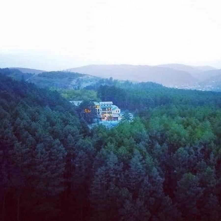 Hotel Surami Extérieur photo